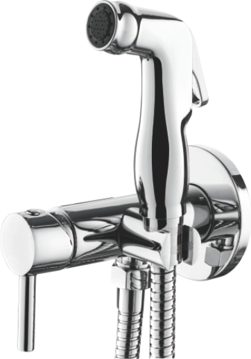 Смеситель для биде, встраиваемый, с гигиенической лейкой, хром Accoona A3290