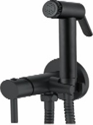 Смеситель для биде, встраиваемый, с гигиенической лейкой, черный Accoona A3290F