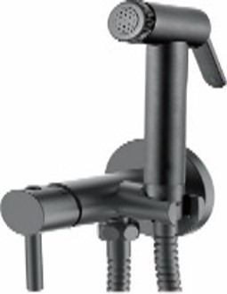 Смеситель для биде, встраиваемый, с гигиенической лейкой, оружейная сталь Accoona A3290ST