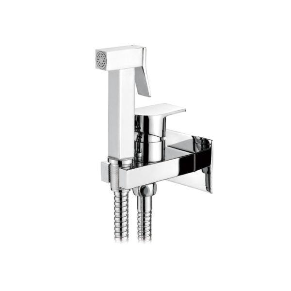 Смеситель для биде, встраиваемый, с гигиенической лейкой, хром Accoona A3290-4